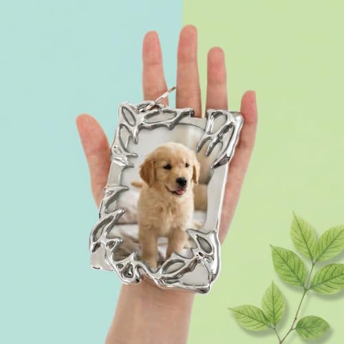 2 Pcs Irregular Silver Photocard Holder Keychain with Wrist Coil