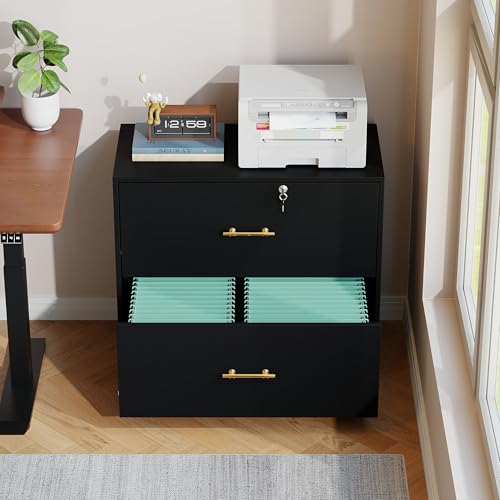 2-Drawer Lateral File Cabinet with Lock, Wood Printer Stand for Home Office
