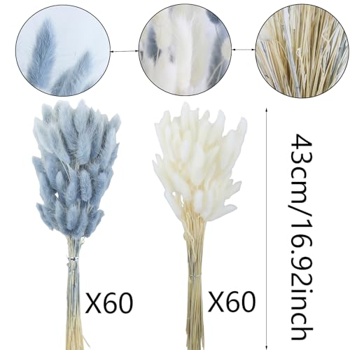 120pcs Dried Bunny Tails Flowers, 17-Inch Natural Lagurus Ovatus Stems