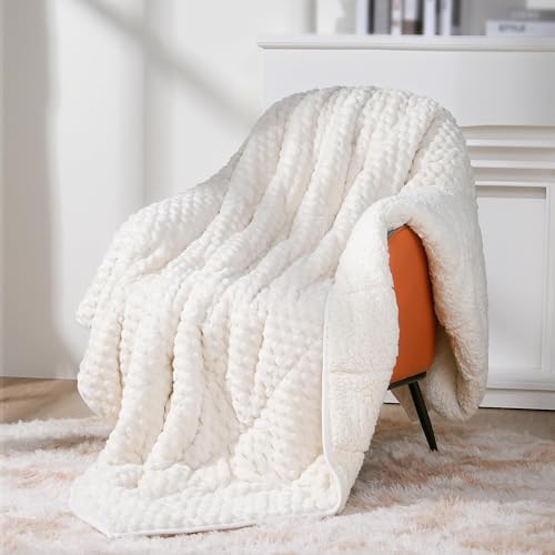 15lbs Weighted Blanket for Adults - Queen Size 60x80, Soft Sherpa Fleece