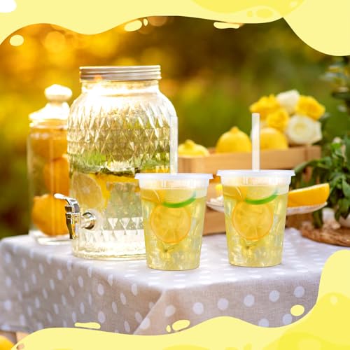 30oz Clear Plastic Lemonade Cups Set with Lids and Straws, 24-Pack