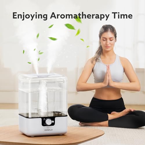 6L Cool Mist Humidifier for Bedroom & Large Room with Oil Diffuser