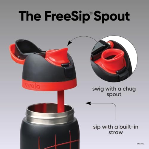 Insulated Stainless Steel Water Bottle with FreeSip Spout 32 oz