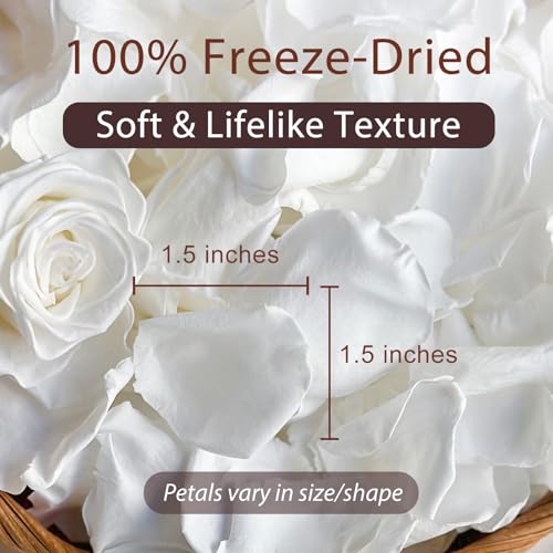 Real Freeze-Dried White Rose Petals for Wedding Decor and Toss - 180+ PCS