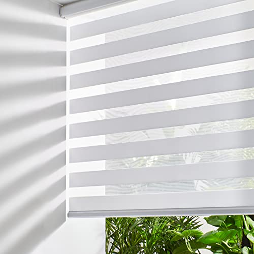 Cordless Zebra Roller Window Shades - Dual Layer Light Control (24" x 72")