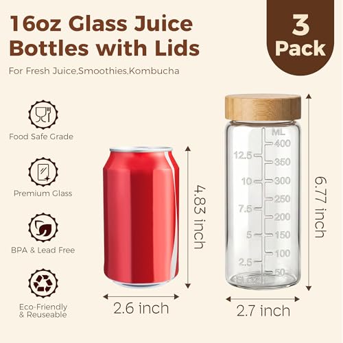 16 oz Glass Juice Bottles with Airtight Bamboo Lids - 3 Pack Reusable Jars