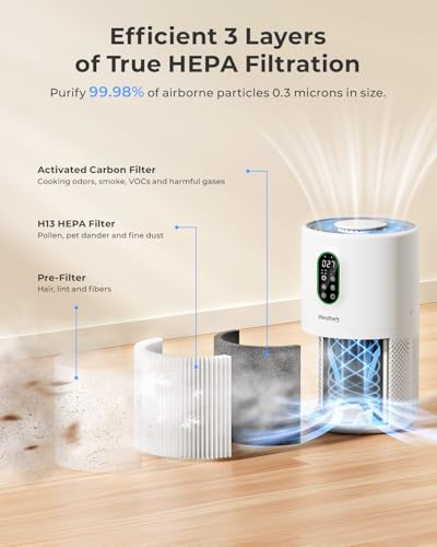 H13 HEPA Air Purifier for Home Large Rooms with PM2.5 Display and Auto Mode