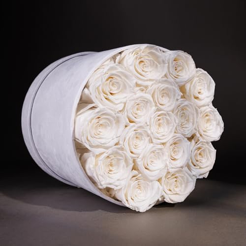 17 Preserved Real Roses in Luxury Velvet Gift Box - Eternal Flowers