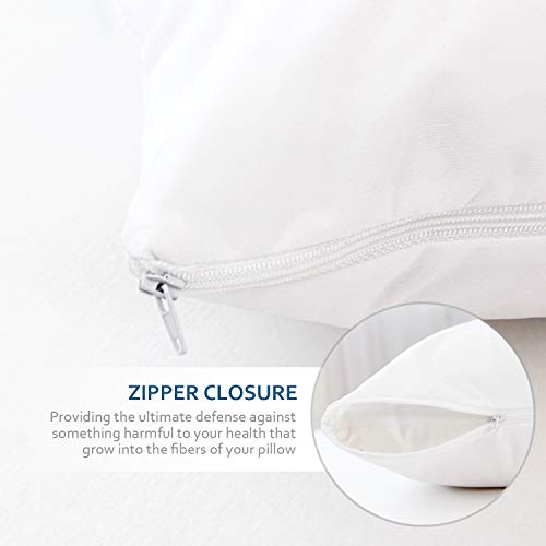 Waterproof Body Pillow Protector 2-Pack, 21" x 55" Zippered Encasement