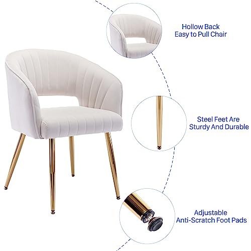Modern Velvet Upholstered Accent Chair with Gold Legs, Cream