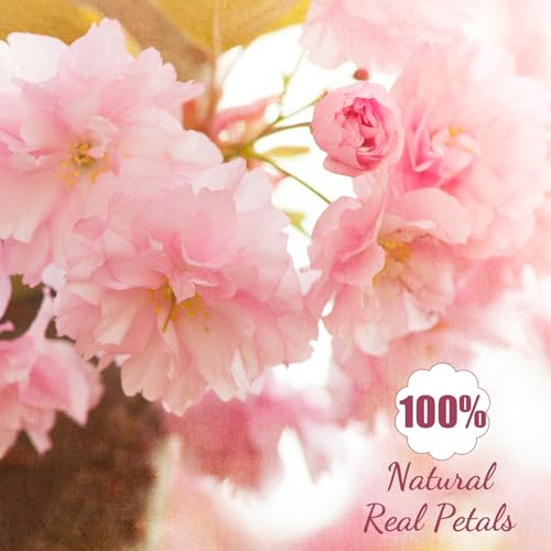 96 Pcs Natural Pressed Dried Flowers for Resin Art, Candle Making, and Decor