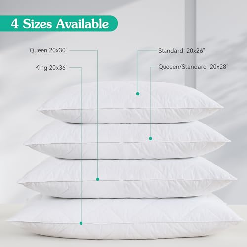 Medium Firm Queen/Standard Goose Feather Pillow - 600 Thread Count Cotton