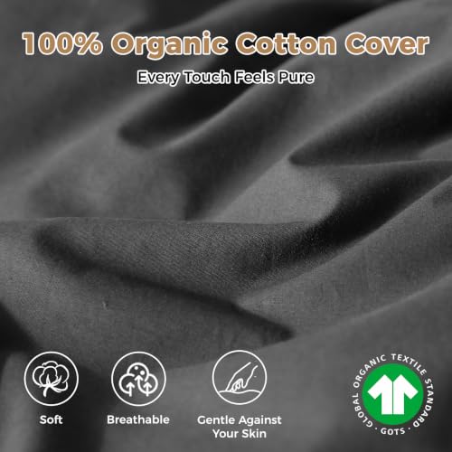 Organic Cotton Down Comforter Queen Size | 750+ Fill Power, Gray