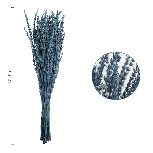 16-Inch Preserved Dried Lavender Flower Bundles, 100g Blue Bouquet