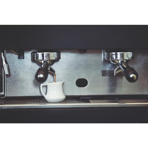 Espresso Machine Decalcifier Descaler Solution - 2 x 250ml Bottles