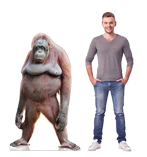 Cardboard People Orangutan Life-Size Cardboard Cutout for Events & Decor
