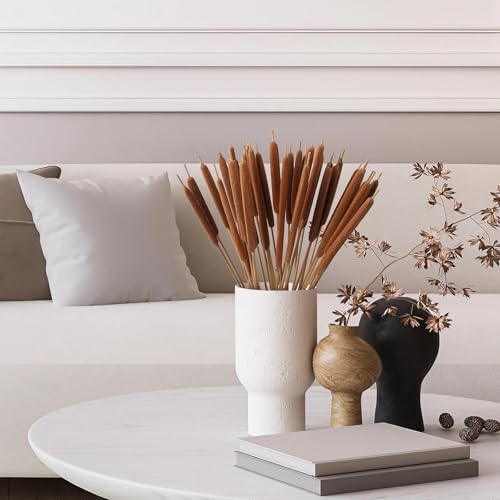 17-Inch Dried Natural Cattails - 20-Piece Set for Floral Arrangements