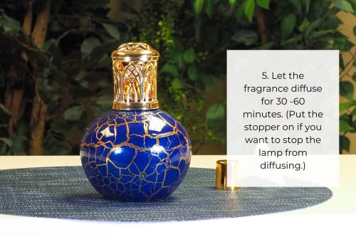 16oz Fragrance Lamp Oil - Sweet Strawberry, Peach Nectar & Red Apple