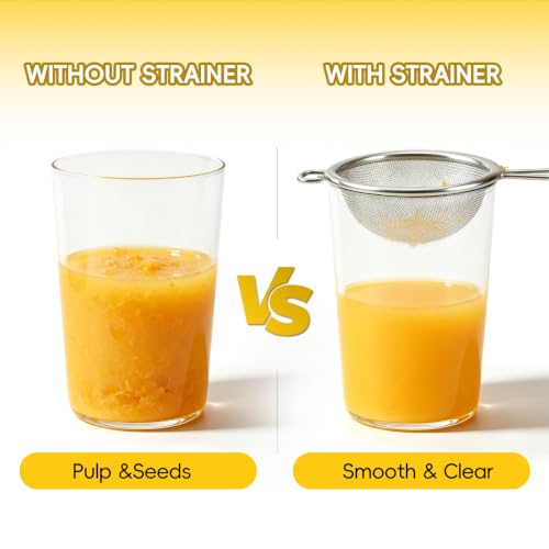 Universal Fine Mesh Juice Strainer - 3-Piece Stainless Steel Filter Set