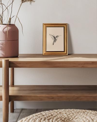 VIYYIEA Vintage Gold Framed Hummingbird Wall Art Sketch 8x10 Inch