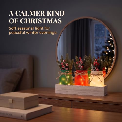 YSNN Christmas Mason Jar Centerpiece with LED Fairy Lights – Jar-christmas Variant