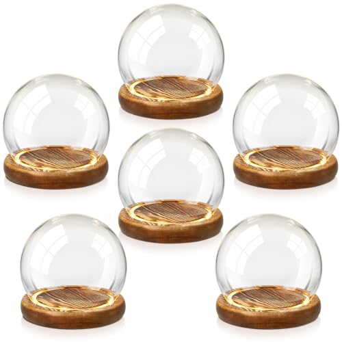Funtery 6 Pcs 3.15 Inch Christmas Glass Display Dome Cloche Globe