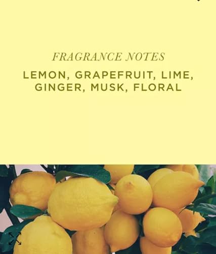 Sorbet Decorative Fragrance Potpourri 7 oz with Lemon and Lime Scent
