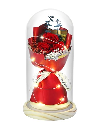 Preserved Rose Bouquet in Glass Dome with LED Lights, Eternal Floral Gift