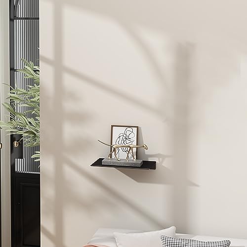 8-Inch Small Floating Wall Shelf, Matte Black Metal Storage Display Ledge