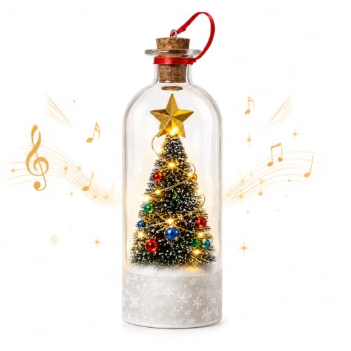 Christmas Message Bottle, 30-Second Voice Recording, LED Lights