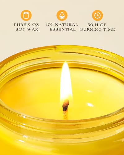 Citrus Lemon Odor Eliminating Soy Candle - 9oz Scented Home Air Freshener