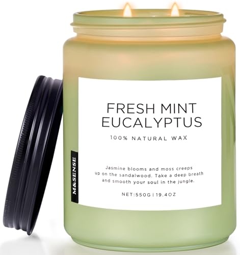 Eucalyptus & Mint Scented Jar Candle - 19.4oz Soy Wax, 110-Hour Burn