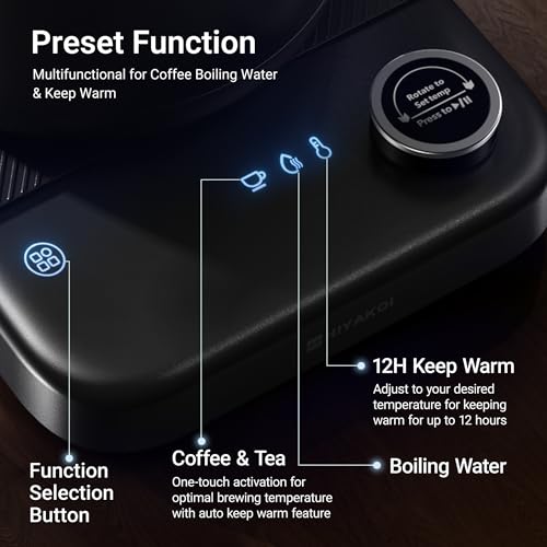 Electric Gooseneck Kettle with Precise Temperature Control, 0.8L