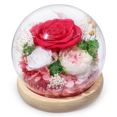 FIACO Pink Preserved Rose Gift in Glass Dome with LED Light - Long-Lasting Flower Decoration for Women, Mom, Wife, Valentine's Day, Christmas