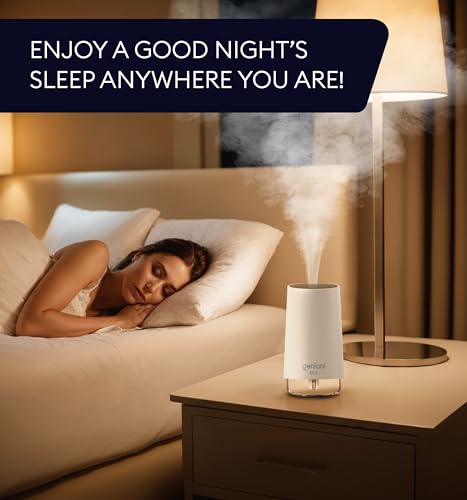 Portable Cool Mist Ultrasonic Humidifier with Auto Shut Off 250ml