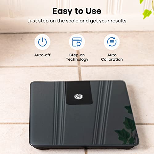 Digital Body Weight Scale, 500lb Capacity with Bluetooth App, Black