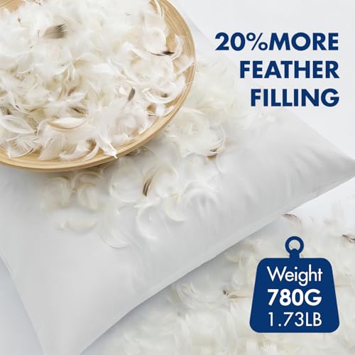 18x18 Inch Feather and Down Pillow Inserts - Set of 4 Cotton Throw Pillows