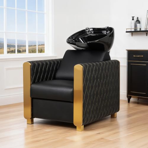 Professional Shampoo Bowl and Chair Set with Tilting Ceramic Basin