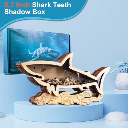 8.7 Inch Wooden Shark Tooth Display Case Shadow Box for Collectors