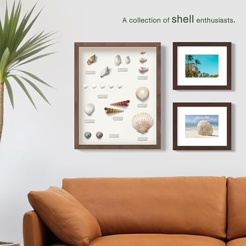 11x11 Inch Natural Oak Shadow Box Frame with Felt Back and Tempered Glass
