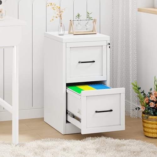 2-Drawer Vertical File Cabinet with Lock, White Steel Storage Organizer