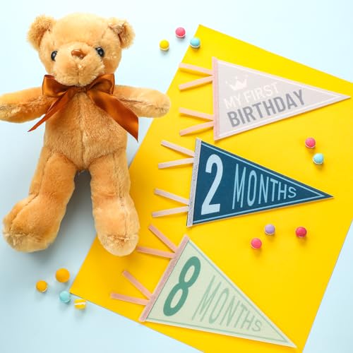 14 Pcs Baby Monthly Milestone Pennant Banner - Felt Photo Prop for Birthdays