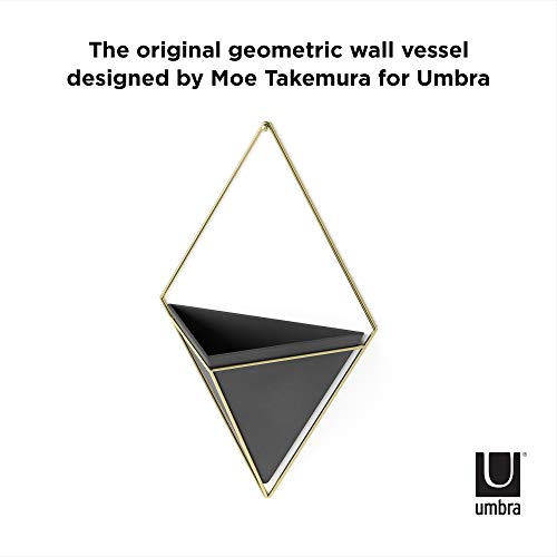 Umbra Trigg Hanging Planter Vase Wall Decor, Pot and Container for Succulents, Cactus, Faux Plants, and More, Large, Black/Brass