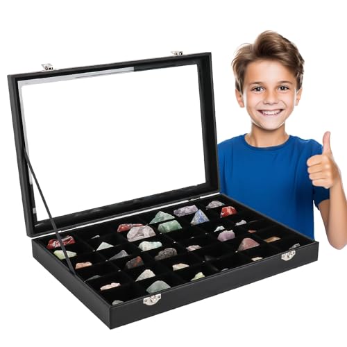 Rock Collection Display Case with 36 Adjustable Grids and Transparent Lid