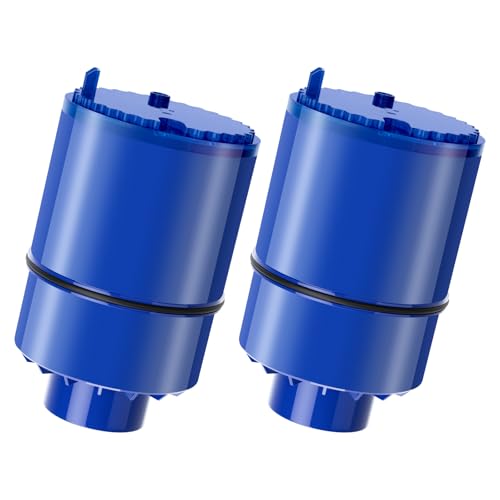 Faucet Mount Water Filter Replacements RF-9999 - NSF Certified 2-Pack