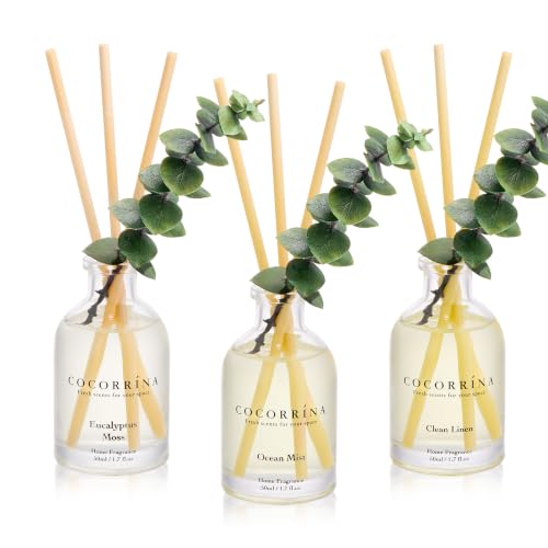 Reed Diffuser Set of 3 with Dried Eucalyptus and Essential Oil Scents