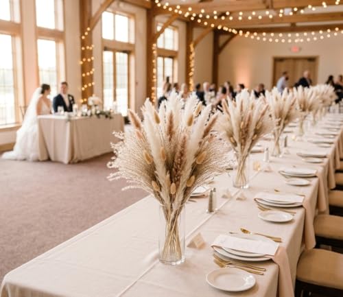 110-Stem Dried Pampas Grass Bouquet - 17-Inch Boho Floral Decor