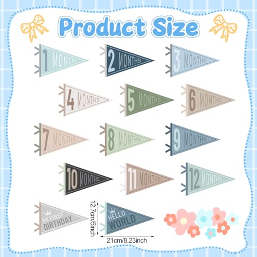 14 Pcs Baby Monthly Milestone Pennant Banner - Felt Photo Prop for Birthdays