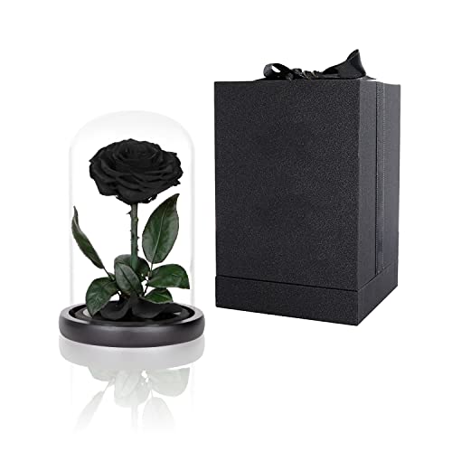 Preserved Black Rose in Glass Dome with Wooden Base - Handmade Gift