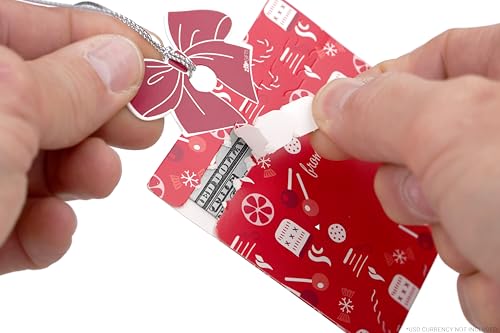 ZipGifts Christmas Cash & Gift Card Ornaments (6 Pack) - Zip-Open Window with Hang Strings